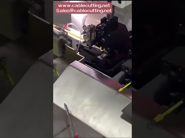 Macchina crimpatrice automatica personalizzata per terminali isolati: pin a occhiello, tondi, a forcella e a bandiera