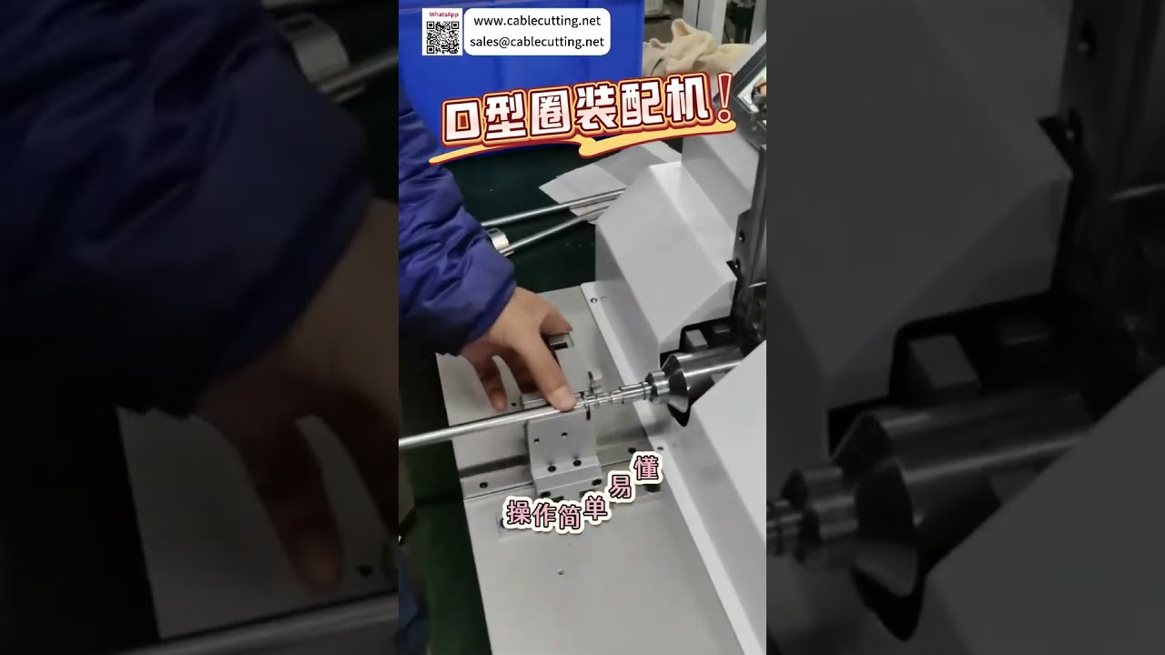 Macchina automatica per assemblaggio O-ring: struttura meccanica di precisione per tenute