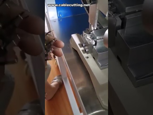 Macchina semiautomatica per crimpatura spinotto a 2 pin – Spina EU industriale