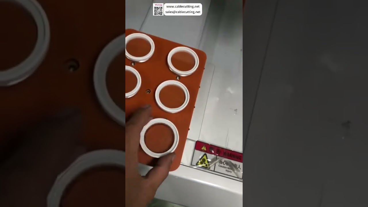 Macchina automatica per incollaggio lenti in vetro: automazione industriale con setup rapido