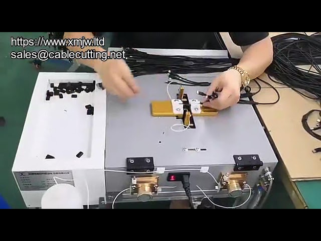 Spingitore Automatico per Erogazione Cavi USB | Attrezzatura per Linee di Produzione Cavi USB Doppia Testa