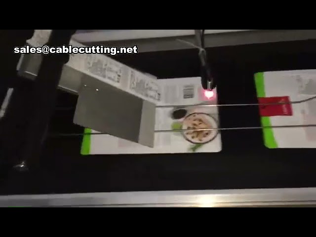 Macchina Etichettatrice Automatica per Sacchetti Piatti e Buste di Plastica | Etichettatrice per Sacchetti Piani