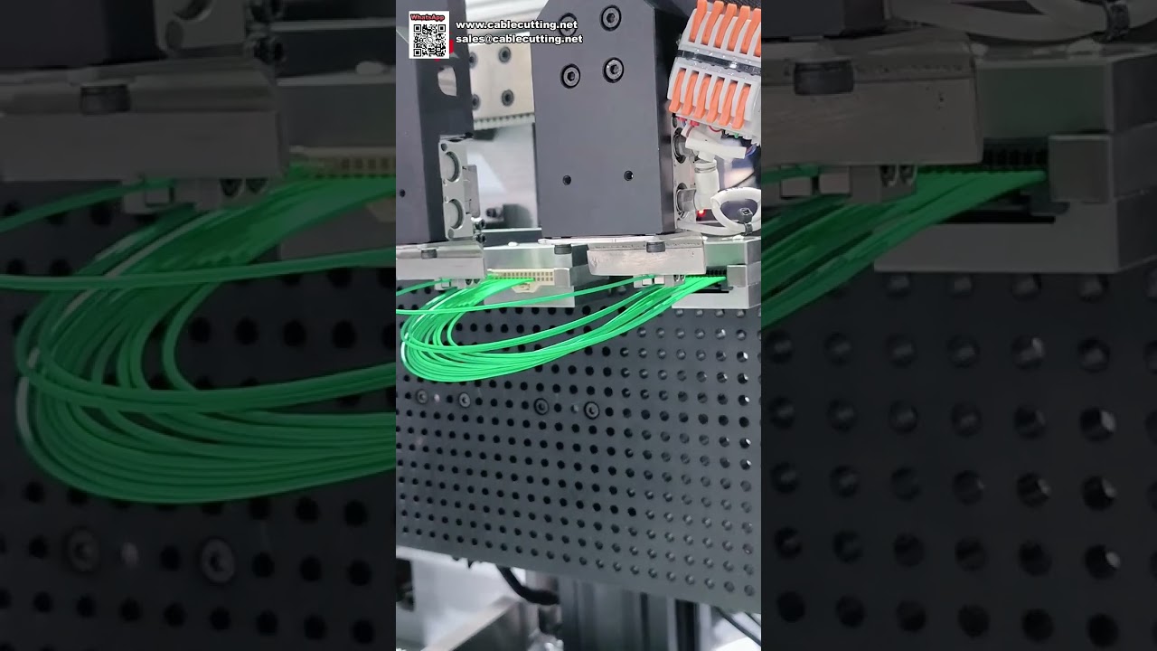 Macchina automatica per inserimento alloggiamenti intelligenti e sigillatura spine impermeabili per cablaggi auto