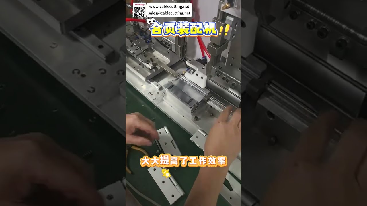 Macchina automatica per assemblaggio cerniere con fissaggio di precisione - Attrezzatura per produzione auto