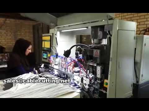 Macchina automatica per crimpatura e inserimento spine a 3 poli WPM-3500A