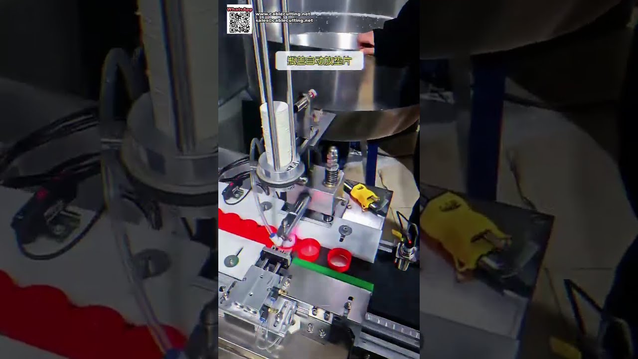 Macchina automatica per assemblaggio tappi e rilevatore metalli per l'industria alimentare