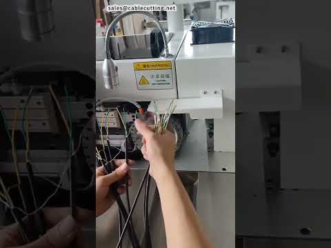 Macchina Automatica per Stampa e Cottura di Tubi con Numerazione | #fabbrica #macchina