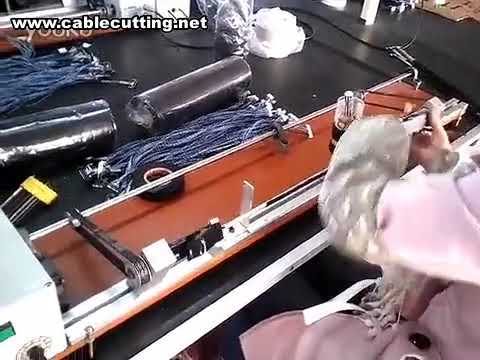 Macchina per Avvolgimento Cablaggi, Avvolgitore Cavi Intrecciati, Macchina Avvolgimento con Nastro Adesivo