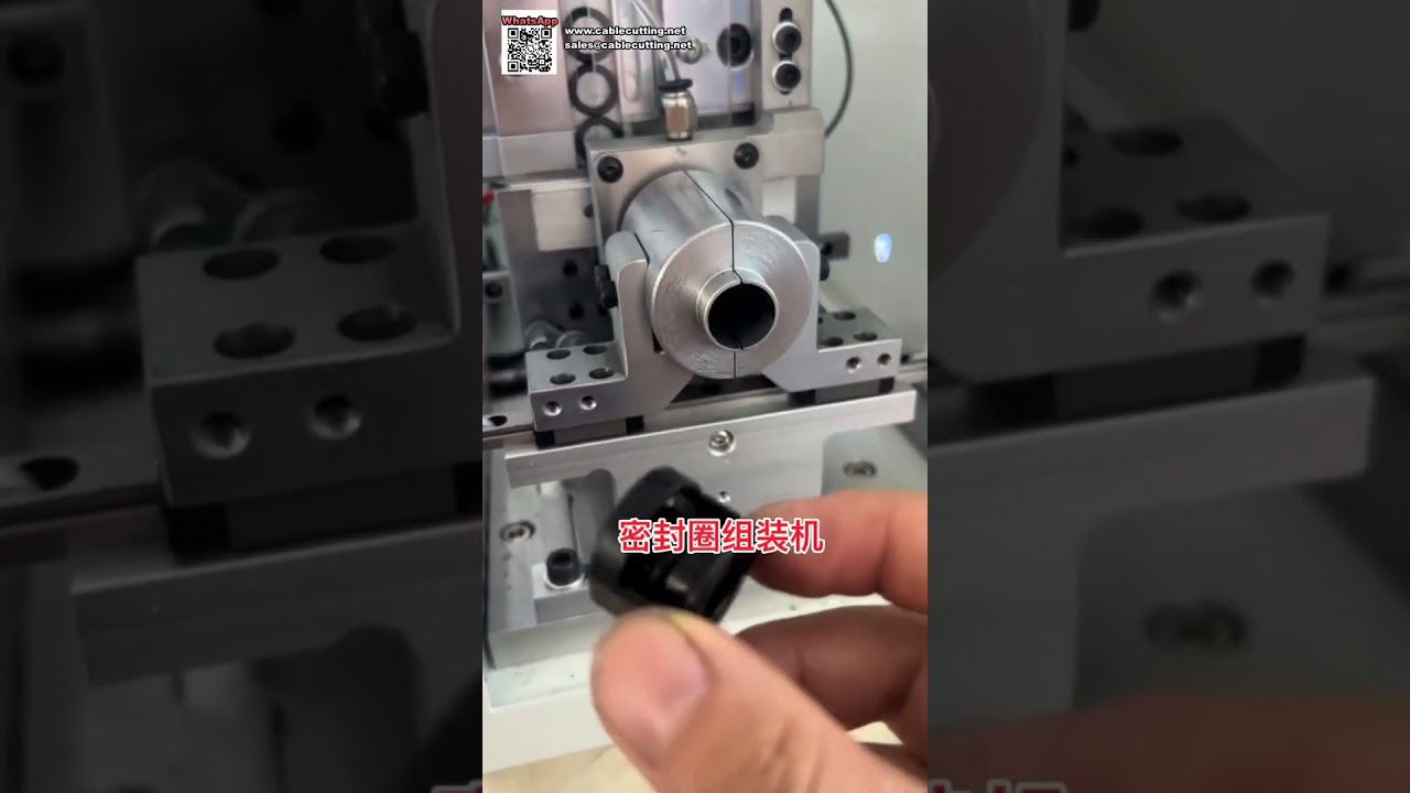 Macchina automatica per assemblaggio di O-ring e attrezzature per processi di produzione