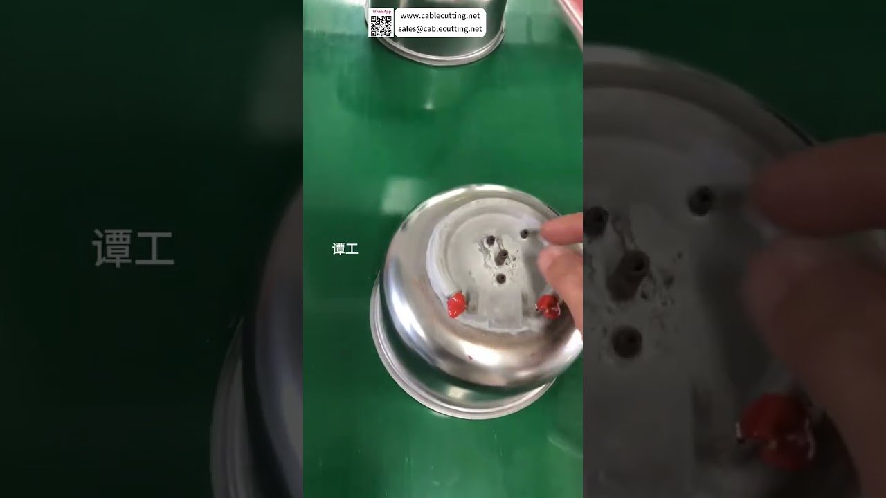 Macchina dosatrice visiva per piastra riscaldante per hot pot Attrezzatura per automazione di fabbrica Configurazione rapida