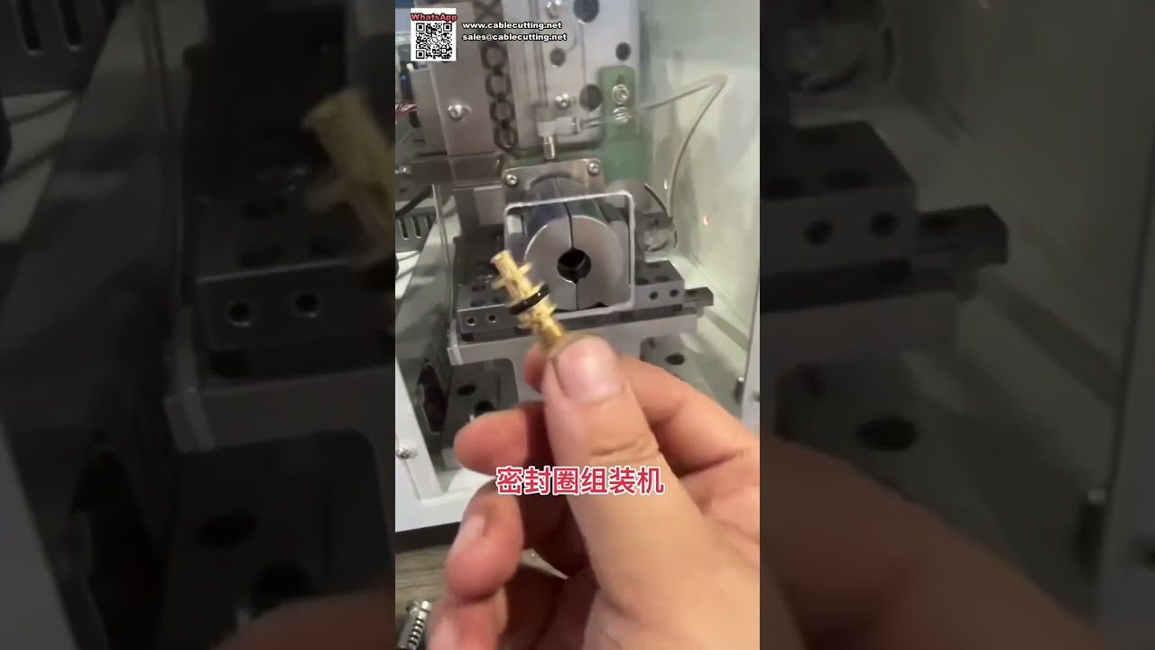 Macchina per assemblaggio guarnizioni O Ring per parti automobilistiche e produzione di raccordi per valvole e tubi