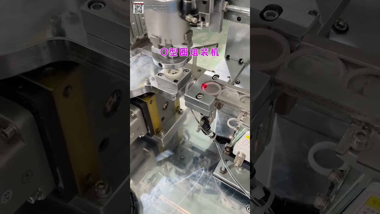 Apparecchiature automatizzate per la produzione e fabbricazione di anelli di tenuta per macchinari industriali