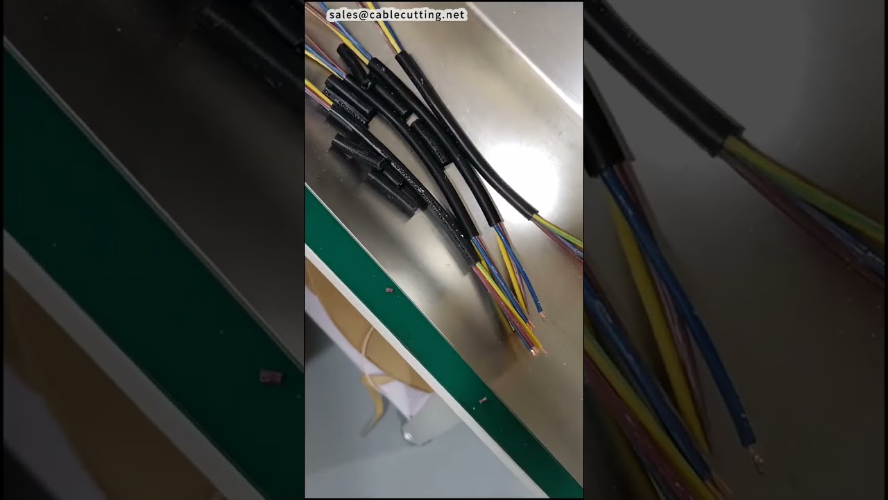 Demo Macchina Tagliafili e Spelafili Interno/Esterno – Ideale per Fabbrica e Fai da Te